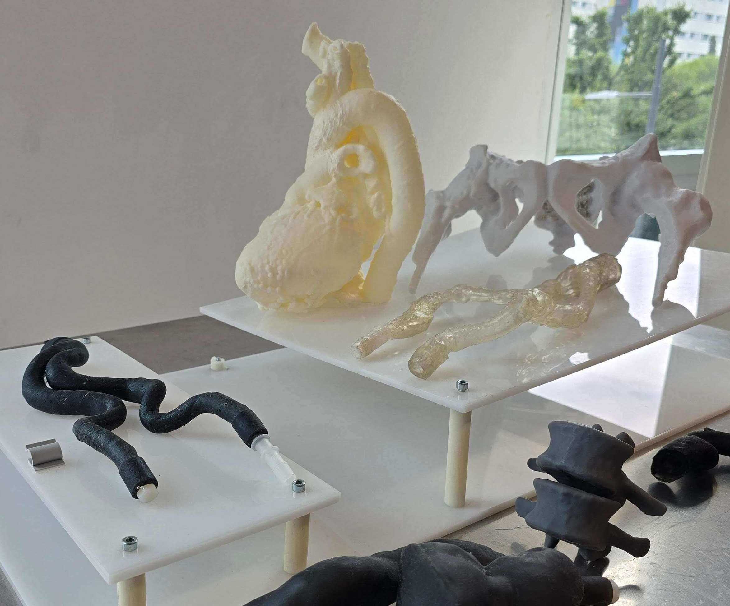 Modelos de órganos impresos en 3D